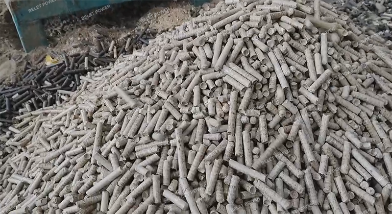 5~8 Ton Per Hour Wood Pellets Plant in Southeast Asia