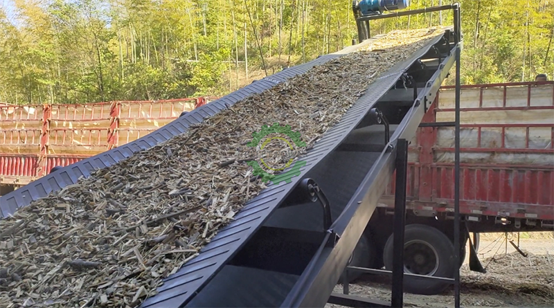 4-5 Ton Per Hour Wood Chips Plant in Vietnam
