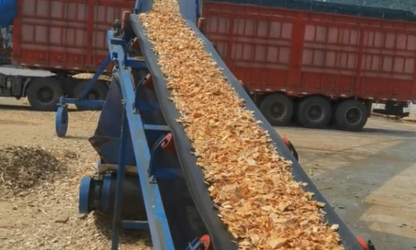 4-5 Ton Per Hour Wood Chips Plant in Hunan Province